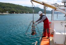 (Monitoriranje kakovosti morskega dna v Tržaškem zalivu, arhiv tržaškega raziskovalnega centra OGS)