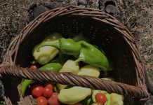 (Komentar) Zdrav življenjski slog postaja luksuz sodobnega časa